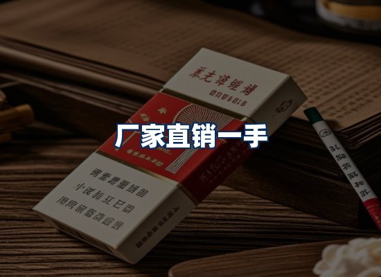 专业团队办公环境